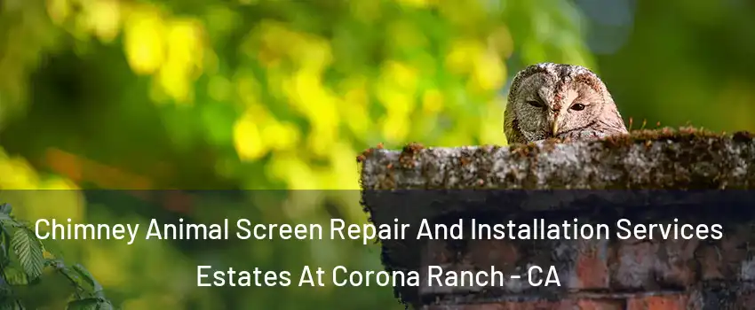 Chimney Animal Screen Repair And Installation Services Estates At Corona Ranch - CA
