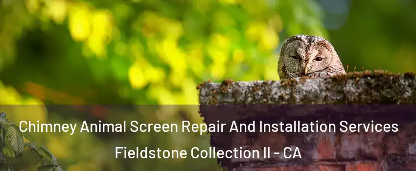 Chimney Animal Screen Repair And Installation Services Fieldstone Collection II - CA