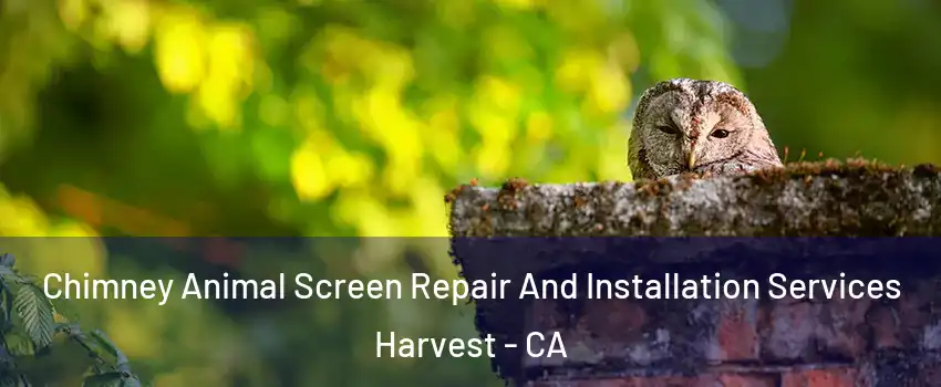Chimney Animal Screen Repair And Installation Services Harvest - CA