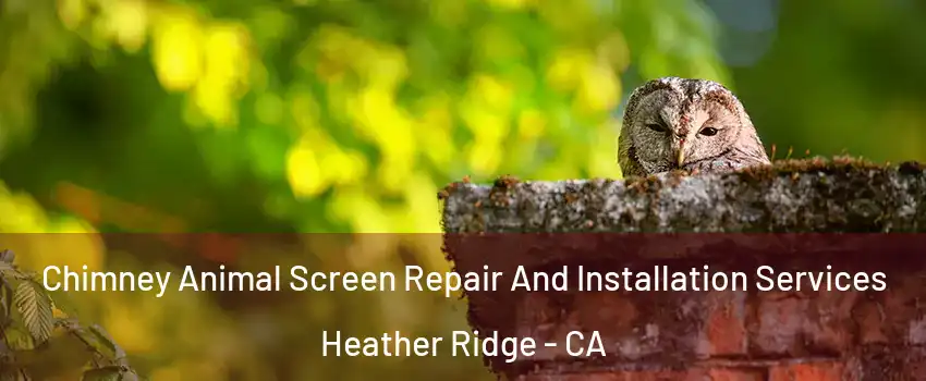 Chimney Animal Screen Repair And Installation Services Heather Ridge - CA