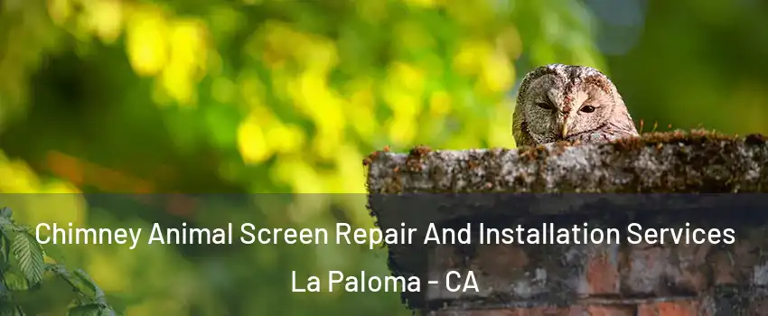 Chimney Animal Screen Repair And Installation Services La Paloma - CA