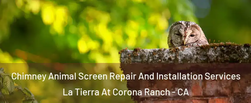 Chimney Animal Screen Repair And Installation Services La Tierra At Corona Ranch - CA