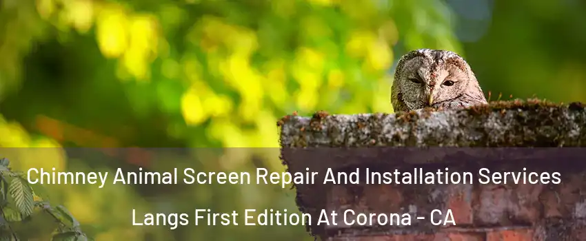 Chimney Animal Screen Repair And Installation Services Langs First Edition At Corona - CA