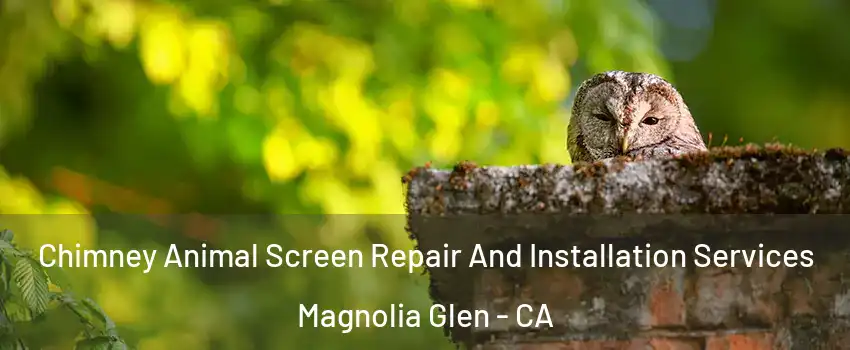 Chimney Animal Screen Repair And Installation Services Magnolia Glen - CA
