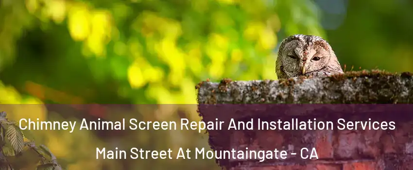 Chimney Animal Screen Repair And Installation Services Main Street At Mountaingate - CA