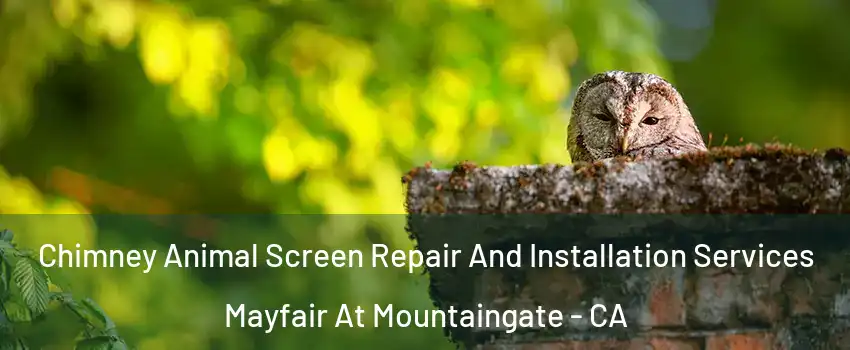 Chimney Animal Screen Repair And Installation Services Mayfair At Mountaingate - CA