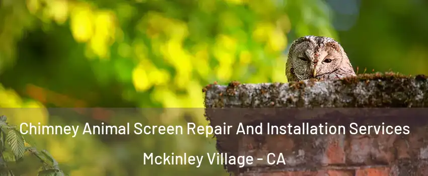 Chimney Animal Screen Repair And Installation Services Mckinley Village - CA