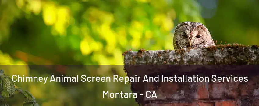 Chimney Animal Screen Repair And Installation Services Montara - CA