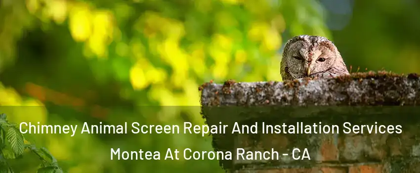 Chimney Animal Screen Repair And Installation Services Montea At Corona Ranch - CA
