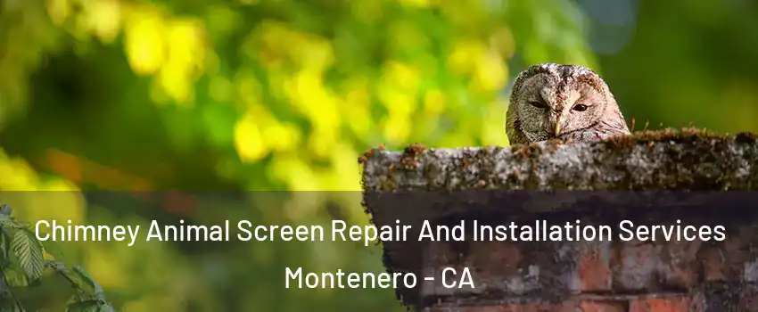 Chimney Animal Screen Repair And Installation Services Montenero - CA