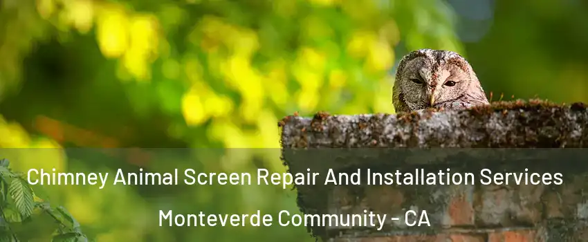 Chimney Animal Screen Repair And Installation Services Monteverde Community - CA