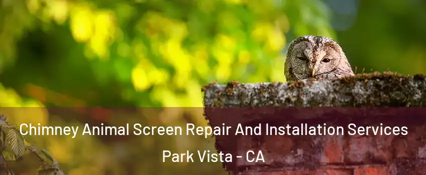 Chimney Animal Screen Repair And Installation Services Park Vista - CA