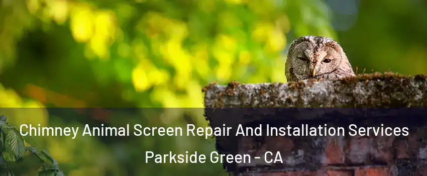 Chimney Animal Screen Repair And Installation Services Parkside Green - CA