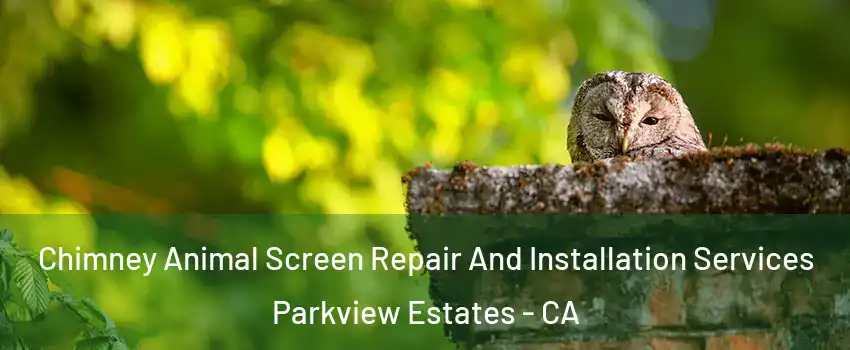 Chimney Animal Screen Repair And Installation Services Parkview Estates - CA