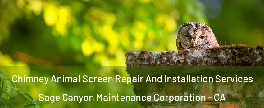 Chimney Animal Screen Repair And Installation Services Sage Canyon Maintenance Corporation - CA