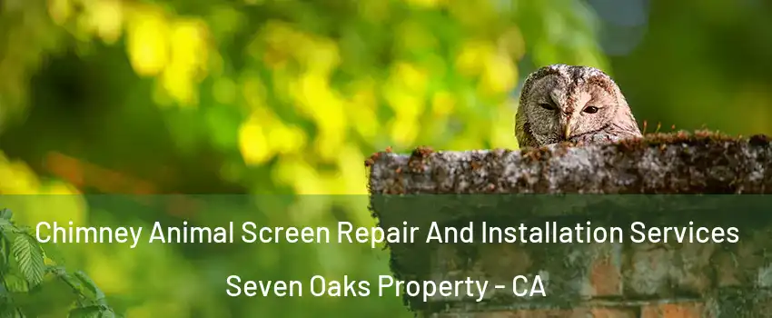Chimney Animal Screen Repair And Installation Services Seven Oaks Property - CA