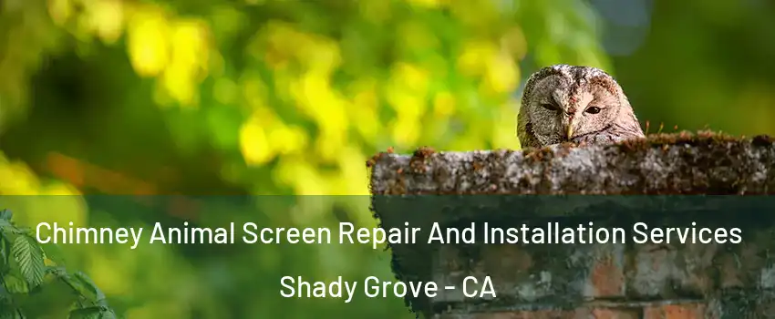 Chimney Animal Screen Repair And Installation Services Shady Grove - CA