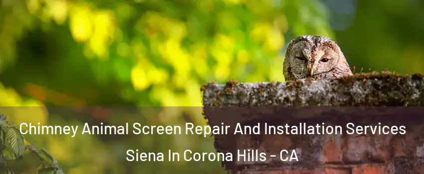 Chimney Animal Screen Repair And Installation Services Siena In Corona Hills - CA