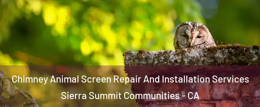 Chimney Animal Screen Repair And Installation Services Sierra Summit Communities - CA