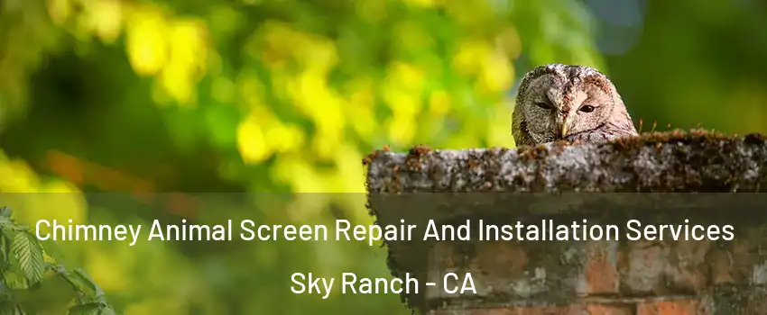 Chimney Animal Screen Repair And Installation Services Sky Ranch - CA