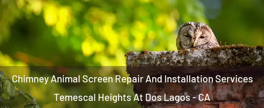 Chimney Animal Screen Repair And Installation Services Temescal Heights At Dos Lagos - CA