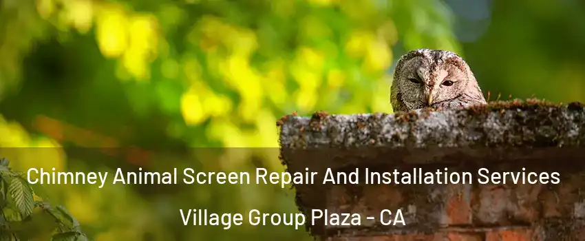 Chimney Animal Screen Repair And Installation Services Village Group Plaza - CA