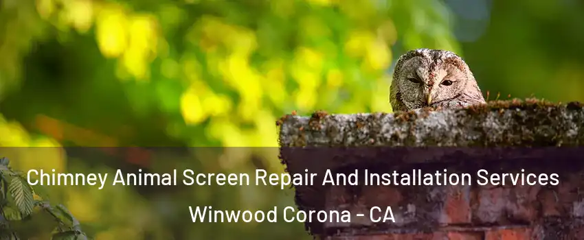 Chimney Animal Screen Repair And Installation Services Winwood Corona - CA