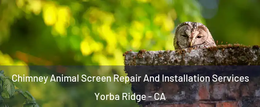 Chimney Animal Screen Repair And Installation Services Yorba Ridge - CA