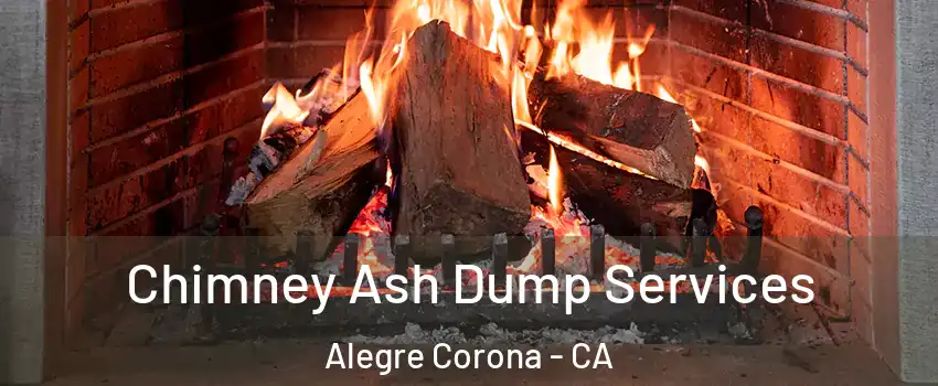 Chimney Ash Dump Services Alegre Corona - CA