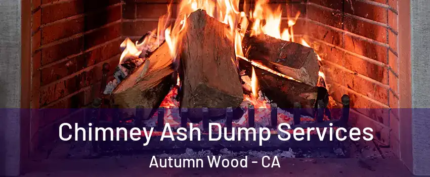 Chimney Ash Dump Services Autumn Wood - CA