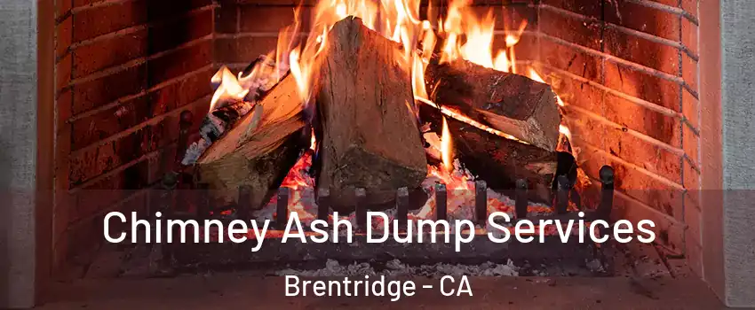 Chimney Ash Dump Services Brentridge - CA