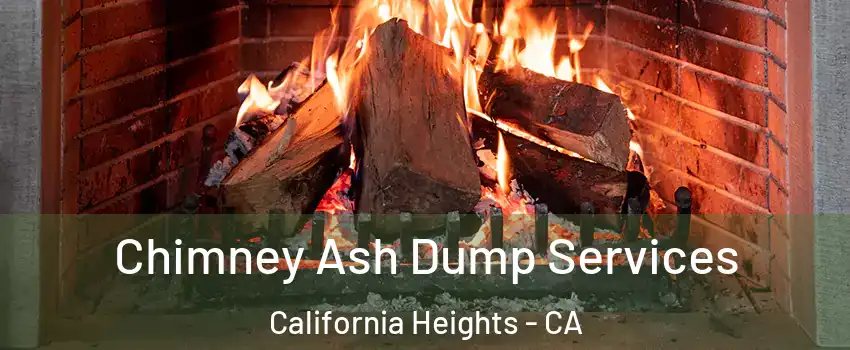 Chimney Ash Dump Services California Heights - CA