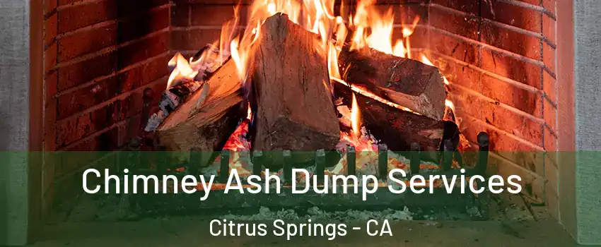 Chimney Ash Dump Services Citrus Springs - CA