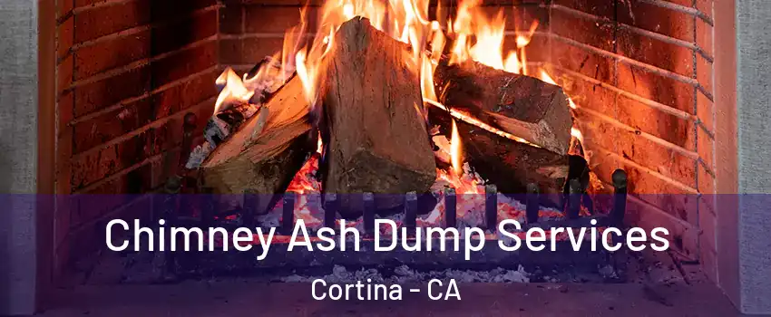 Chimney Ash Dump Services Cortina - CA