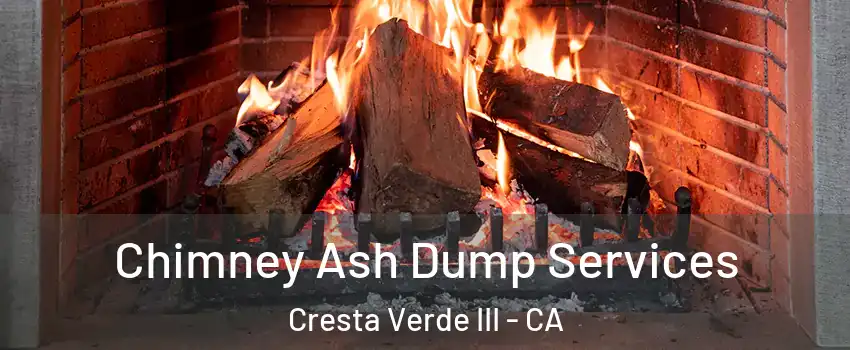 Chimney Ash Dump Services Cresta Verde III - CA