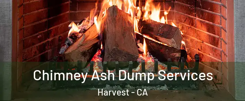 Chimney Ash Dump Services Harvest - CA