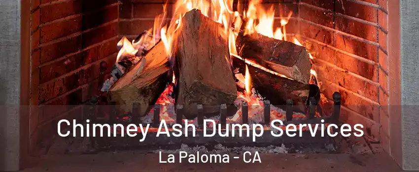 Chimney Ash Dump Services La Paloma - CA