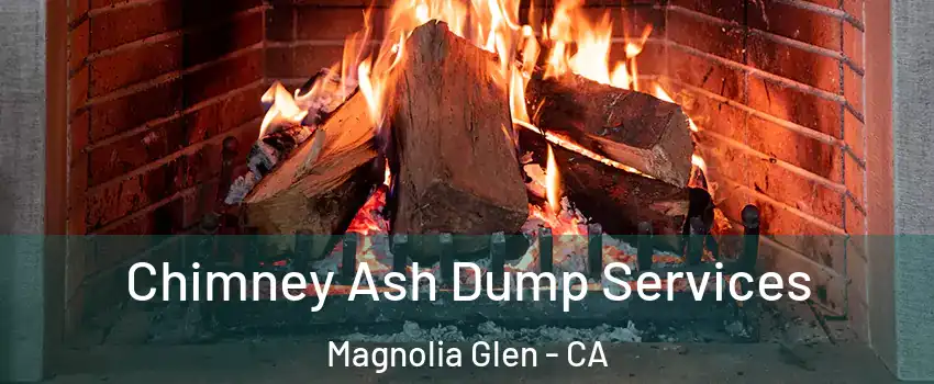 Chimney Ash Dump Services Magnolia Glen - CA
