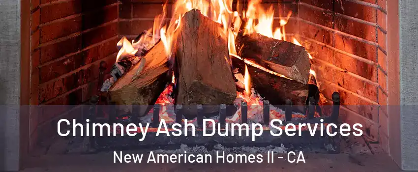 Chimney Ash Dump Services New American Homes II - CA