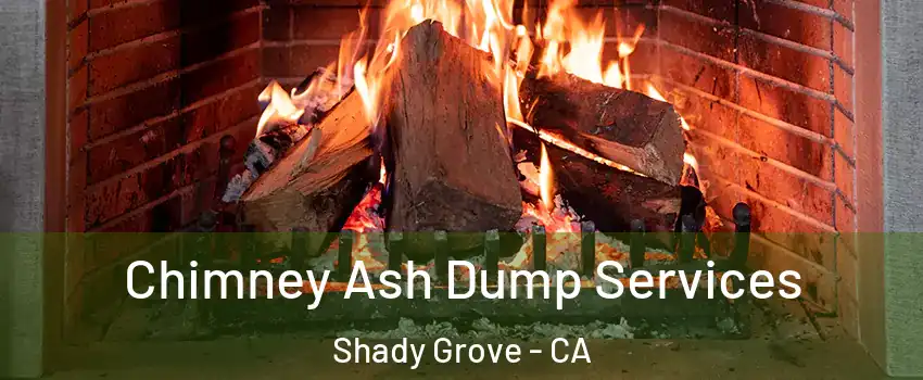 Chimney Ash Dump Services Shady Grove - CA