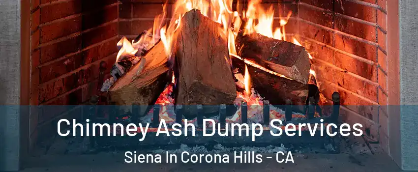 Chimney Ash Dump Services Siena In Corona Hills - CA