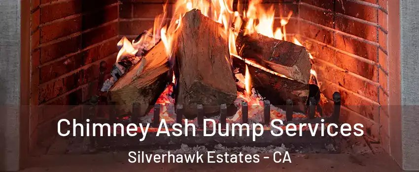 Chimney Ash Dump Services Silverhawk Estates - CA