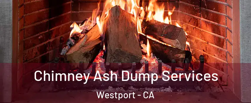 Chimney Ash Dump Services Westport - CA