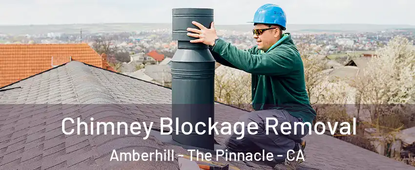 Chimney Blockage Removal Amberhill - The Pinnacle - CA