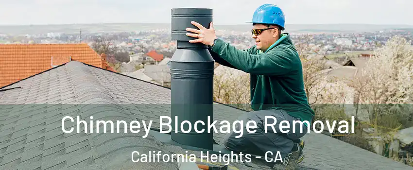 Chimney Blockage Removal California Heights - CA
