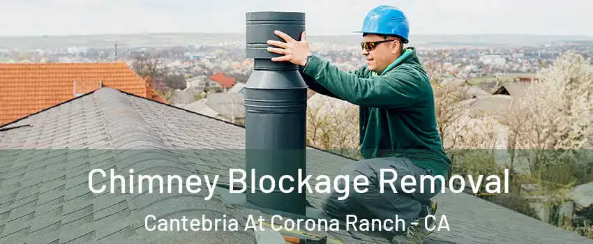 Chimney Blockage Removal Cantebria At Corona Ranch - CA