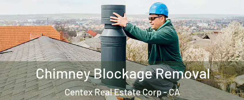 Chimney Blockage Removal Centex Real Estate Corp - CA