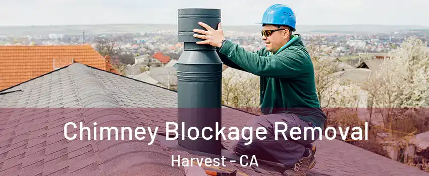 Chimney Blockage Removal Harvest - CA