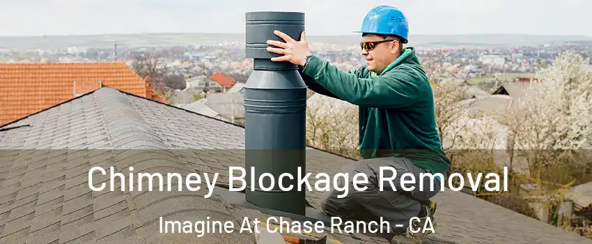 Chimney Blockage Removal Imagine At Chase Ranch - CA