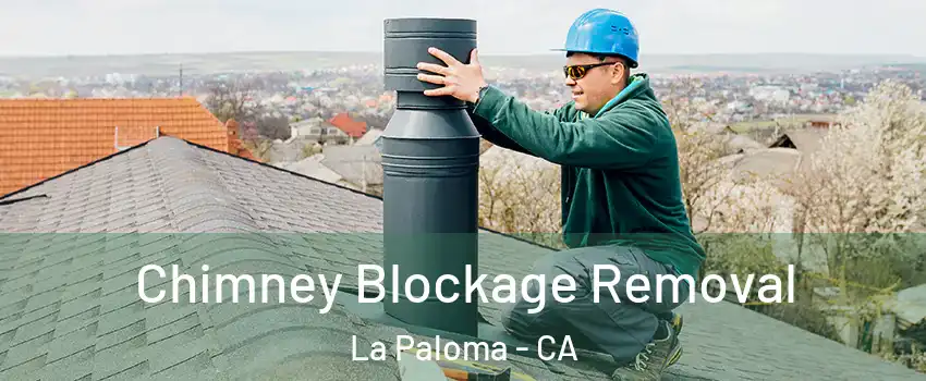 Chimney Blockage Removal La Paloma - CA
